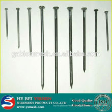 Cheap stainless steel Galvanized concrete/common nails from anping, china supplier